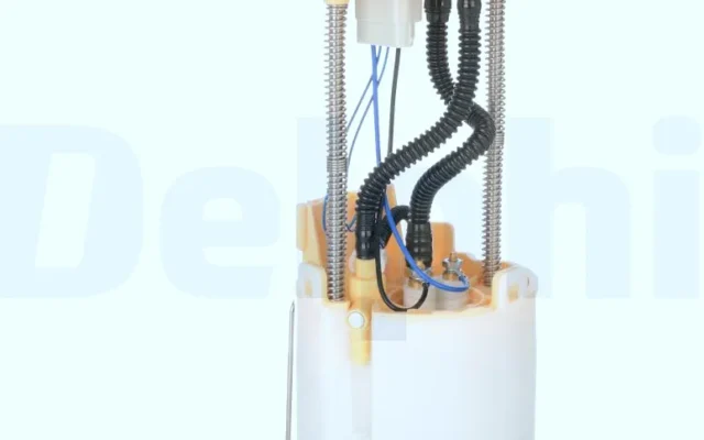 DELPHI FG239712B1 Depo Şamandırası