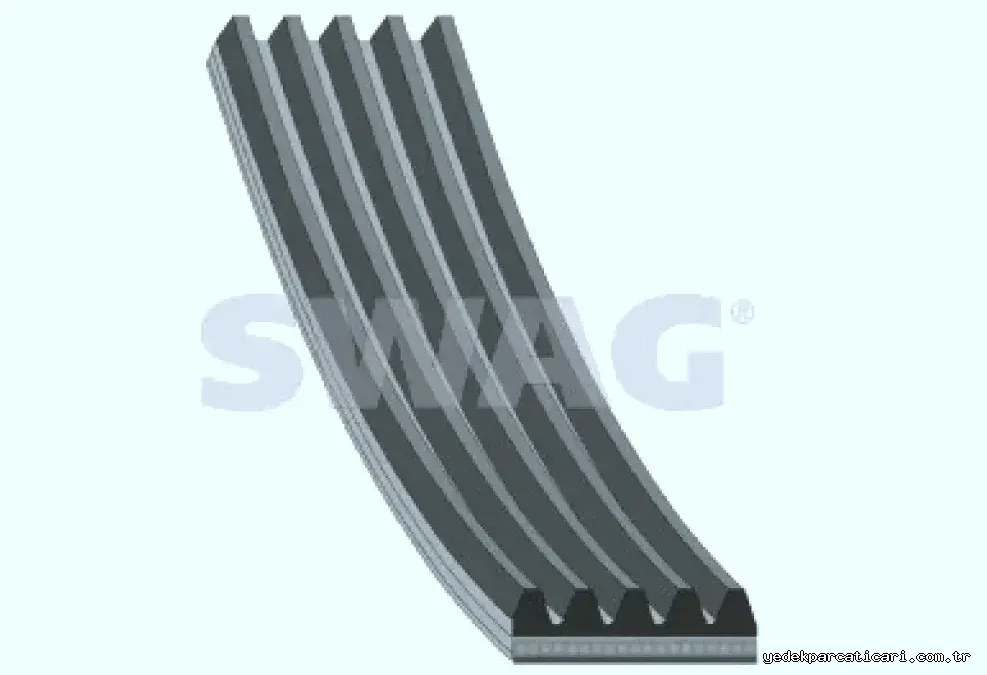 KANALLI KAYIS 5PK1220 - Swag - SWAG 30928864